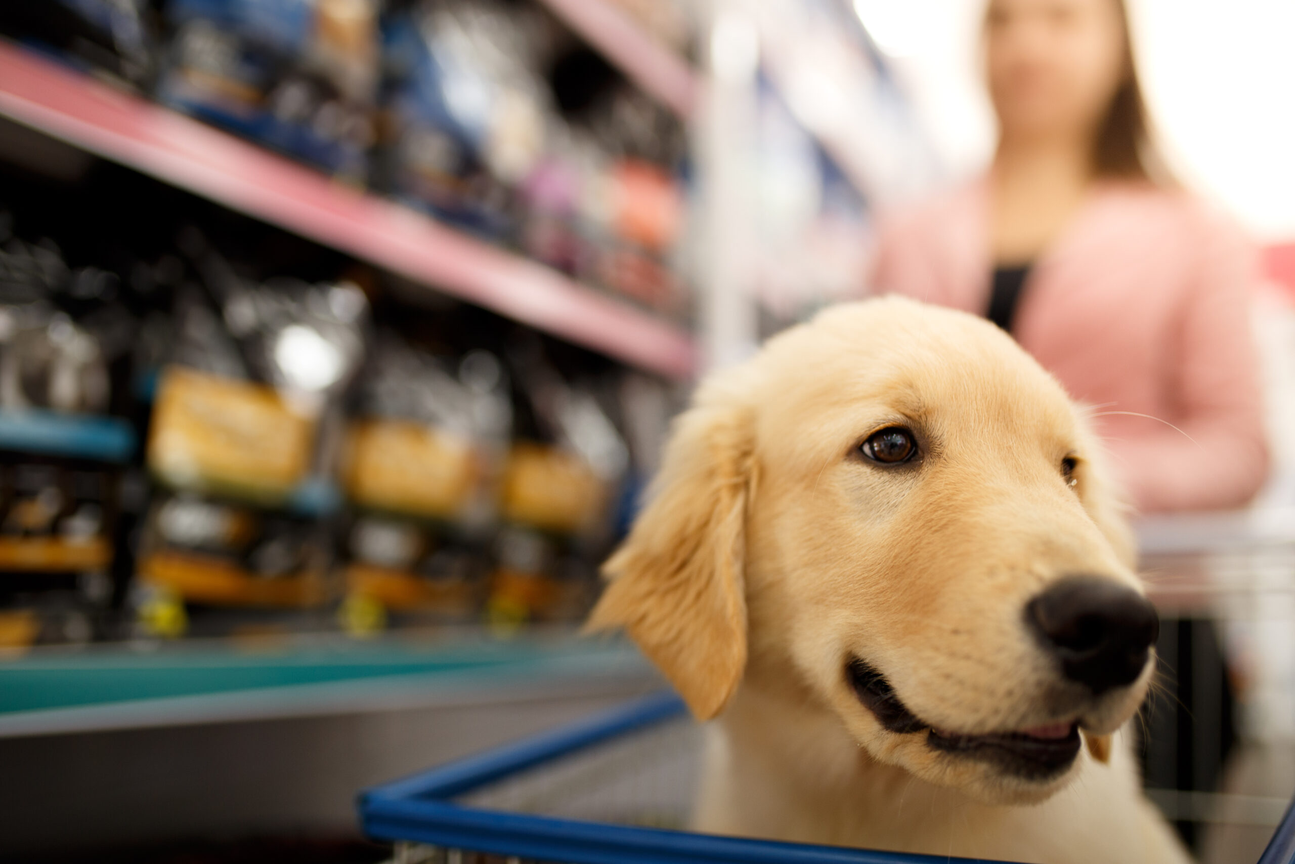 7 Best Practices for Managing Inventory in Your Pet Store banner image