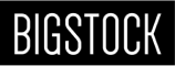 bigstock logo